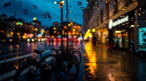 Guide complet pour choisir votre service de location de vélo